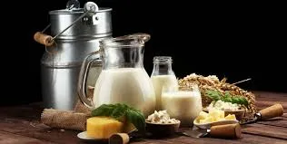 Tratamento para Osteopenia em SP Imagem